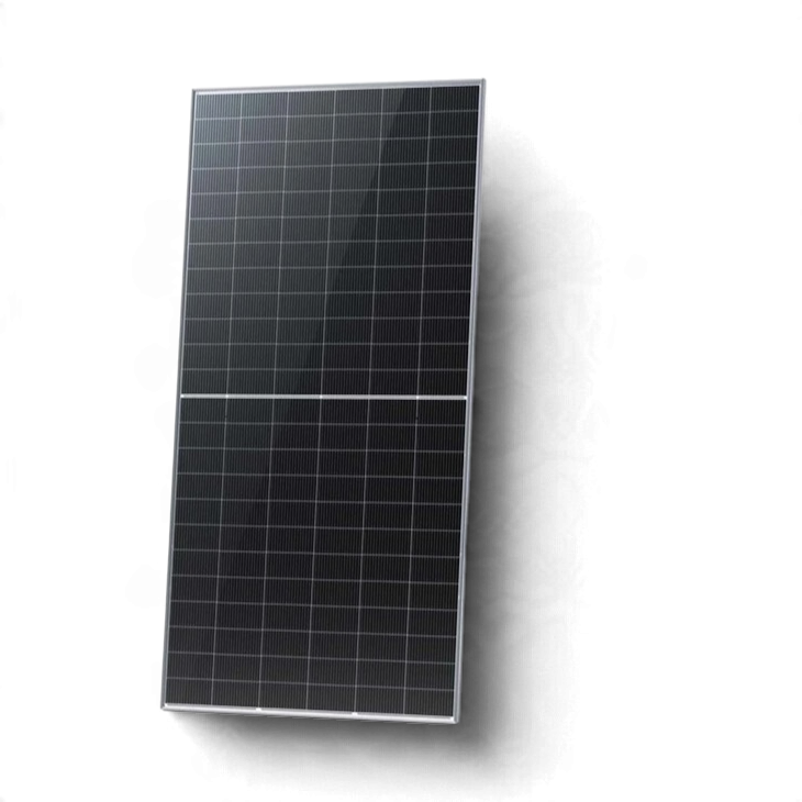 Panneau Solaire 1000 Watt